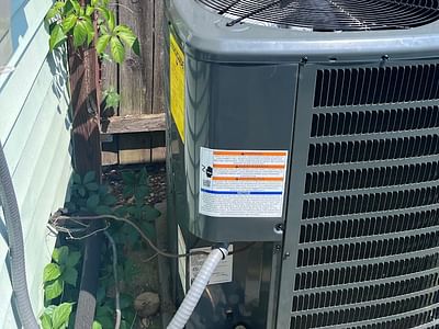 TRINITY PRO SERVICES