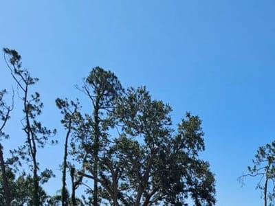 Tropical Comfort A/C, Inc.