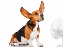 Trust Air Heating and Air Conditioning