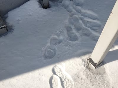 Twinco Supply Corporation