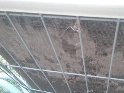 Two Brothers Maintenance