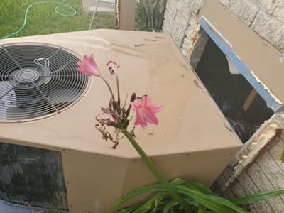 Upright Air Conditioning by Wilson Electric Co