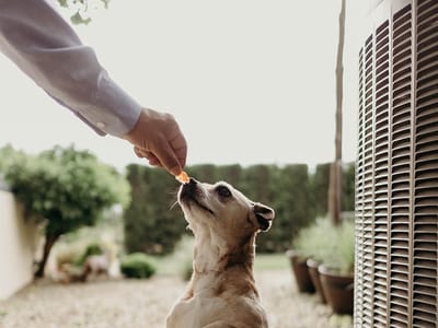 Vance Heating & Air Conditioning