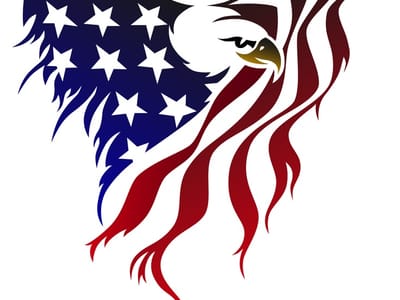 Veteran Infrastructure