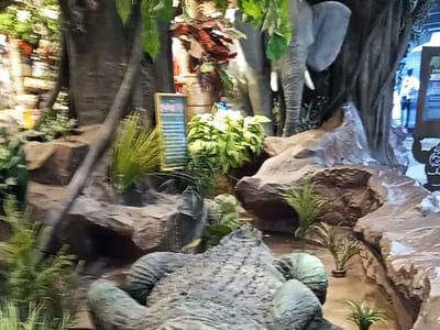 Veterans Appliance Repair & HVAC