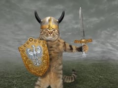 Viking Mechanical Services, LLC