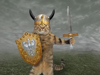 Viking Mechanical Services, LLC