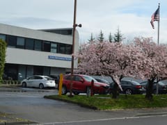 Vital Mechanical Service