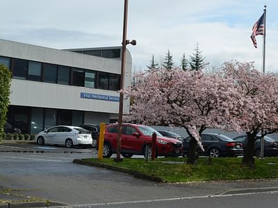 Vital Mechanical Service