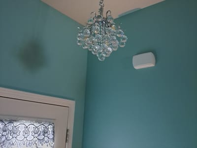 W C Borchelt & Sons Inc