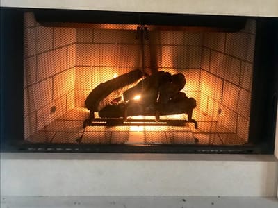 W.C. Wright & Son, Inc.