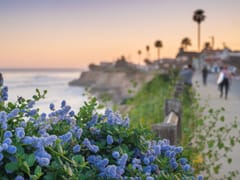 Walton's Plumbing Inc.