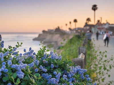 Walton's Plumbing Inc.