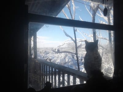 Warm and Cool AC and Heat Systems