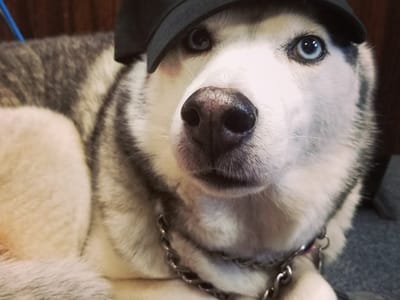 Wauford Air Conditioning Inc