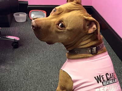 We Care Septic, Heating & Air Conditioning