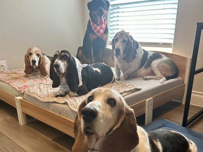 Weiss Air Conditioning and Heating