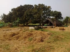 West Star Heating & Air Conditioning