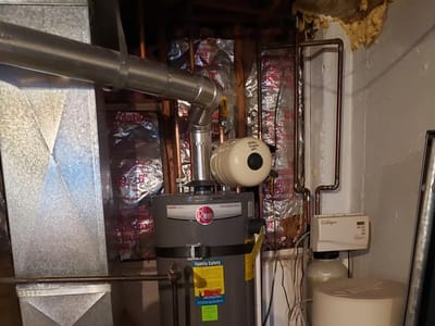 Whipple Service Champions