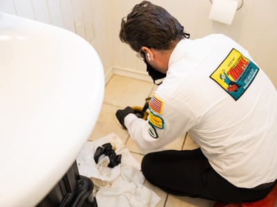 Whipple Service Champions