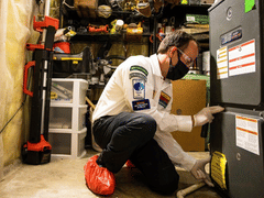 Whipple Service Champions