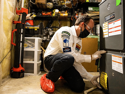 Whipple Service Champions