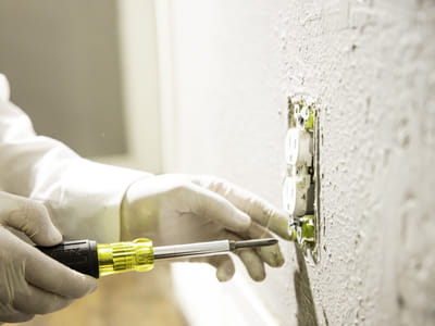 Whipple Service Champions