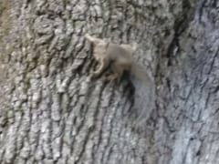 Wilco Heating and Air Conditioning Inc.