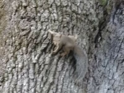 Wilco Heating and Air Conditioning Inc.