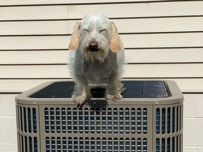 Wilkens Heating and Air Conditioning