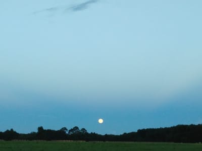 William F Pheil Air Condition