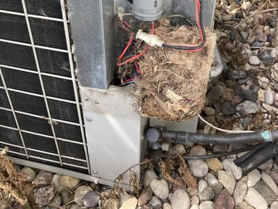 Wisconsin Home and Cabin