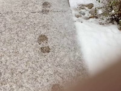 WISE Cooling & Heating