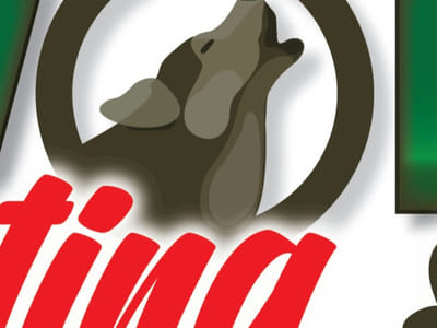 Wolf & Sons Heating & Cooling Inc