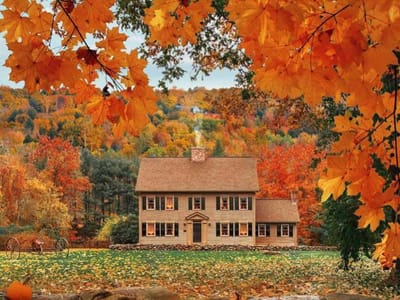 Wolf & Sons Heating & Cooling Inc