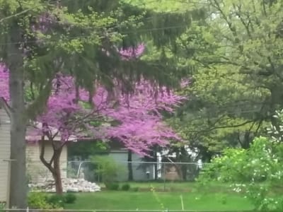 Wolverine heating and cooling