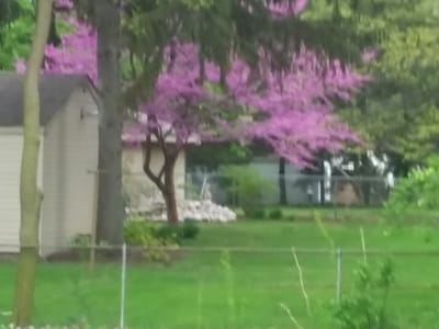 Wolverine heating and cooling