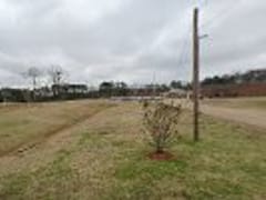 Wood Insulation Contractors