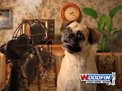 Woodfin - Your Home Team