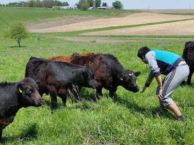 Woody's Heating & Air Conditioning