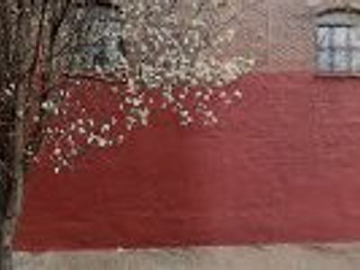 York HVAC & Plumbing Solutions